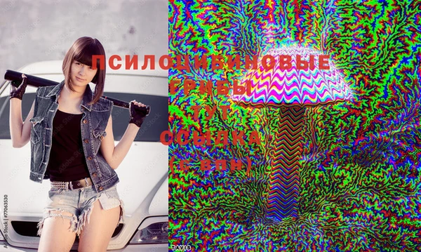 МДПВ Няндома