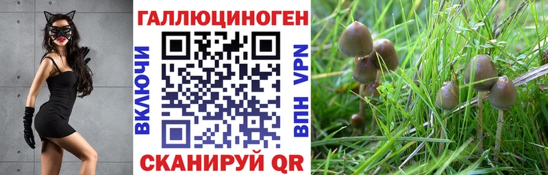 Галлюциногенные грибы мицелий  Красный Кут 
