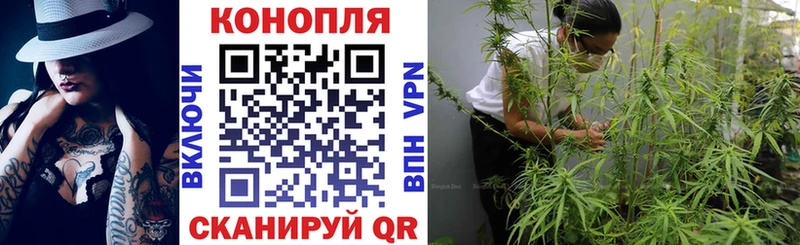 Канабис сатива блэк спрут ТОР Красный Кут где купить наркотик